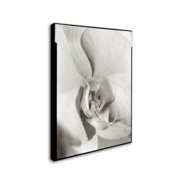 Alan Blaustein 'Florison 22' Canvas Art,14x19